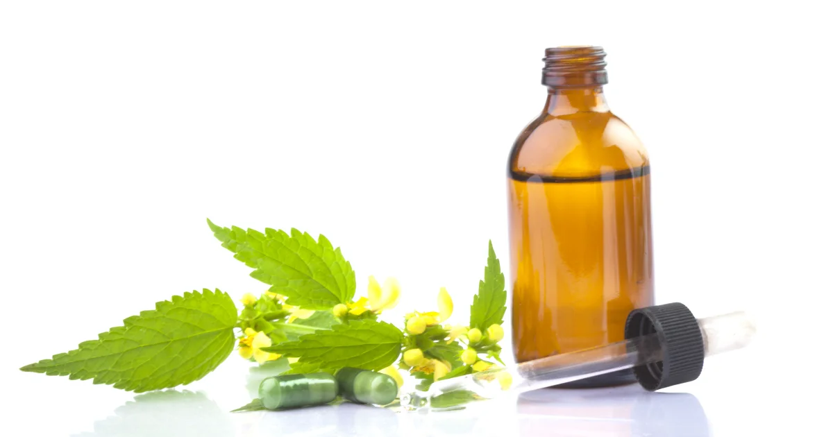 13 fitoterápicos para cães 🍃💊