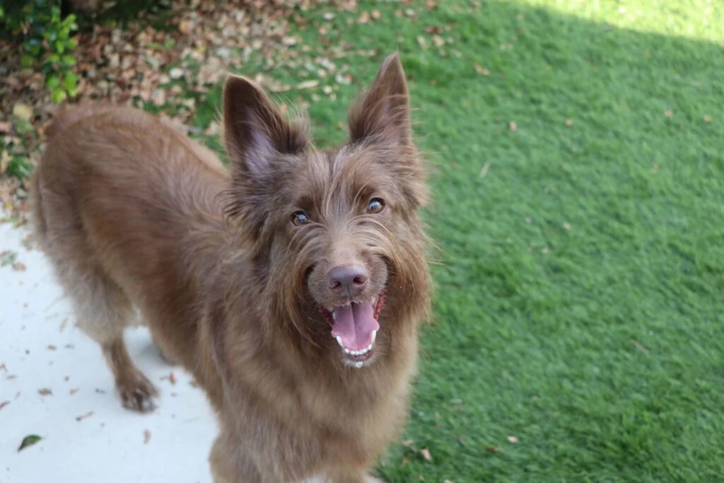 c2be1da5-7025-4723-bfa5-110dd25200d1