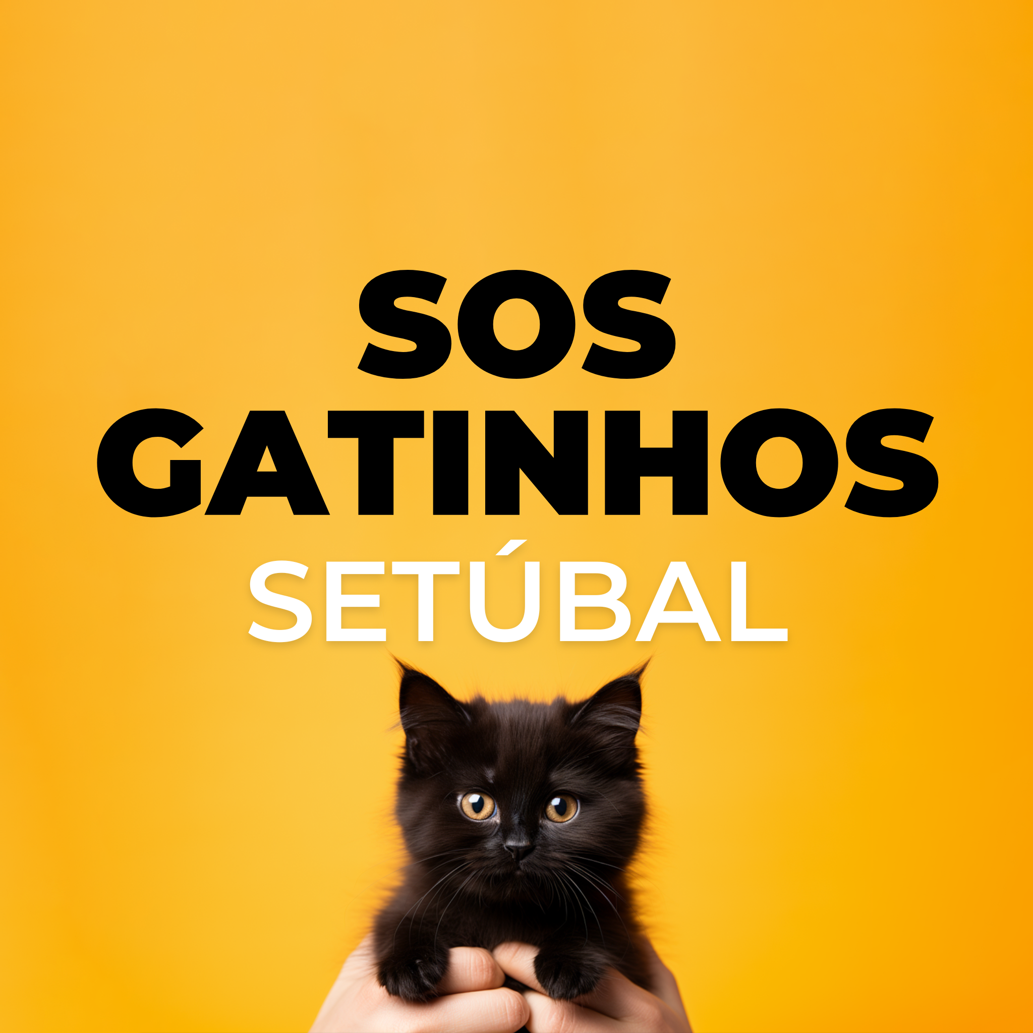 SOS Gatinhos
