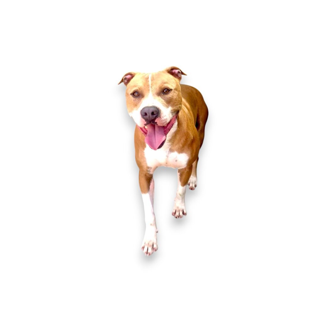 Max-Photoroom (1)