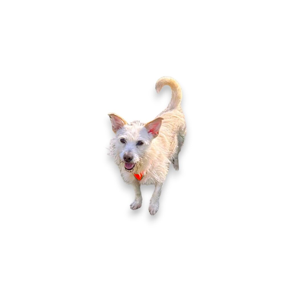 Ruca-Photoroom