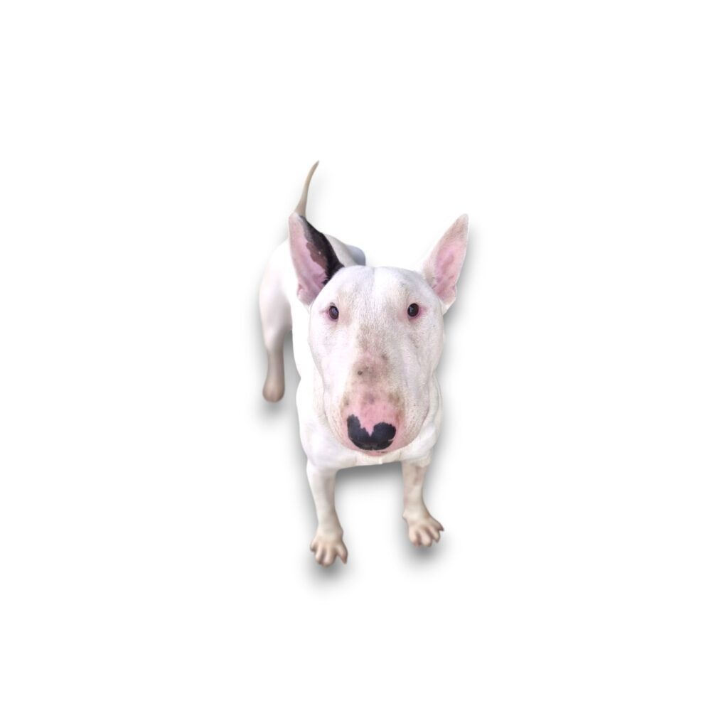 Billy-Photoroom-Photoroom