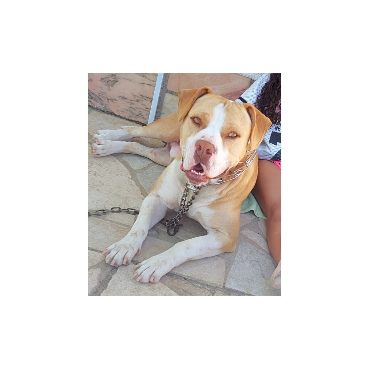 Zeus