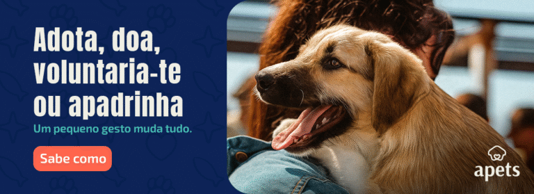 Quero adotar