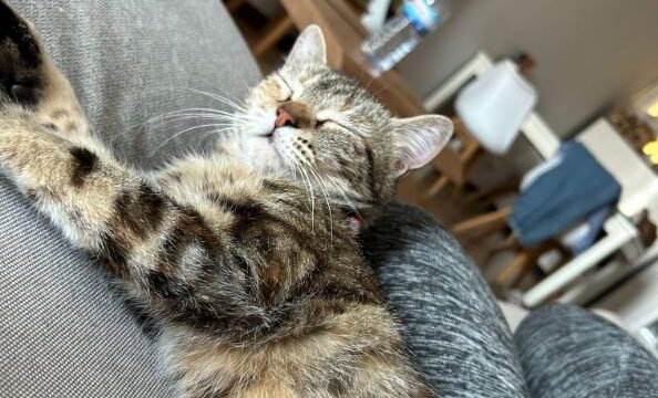 Lili