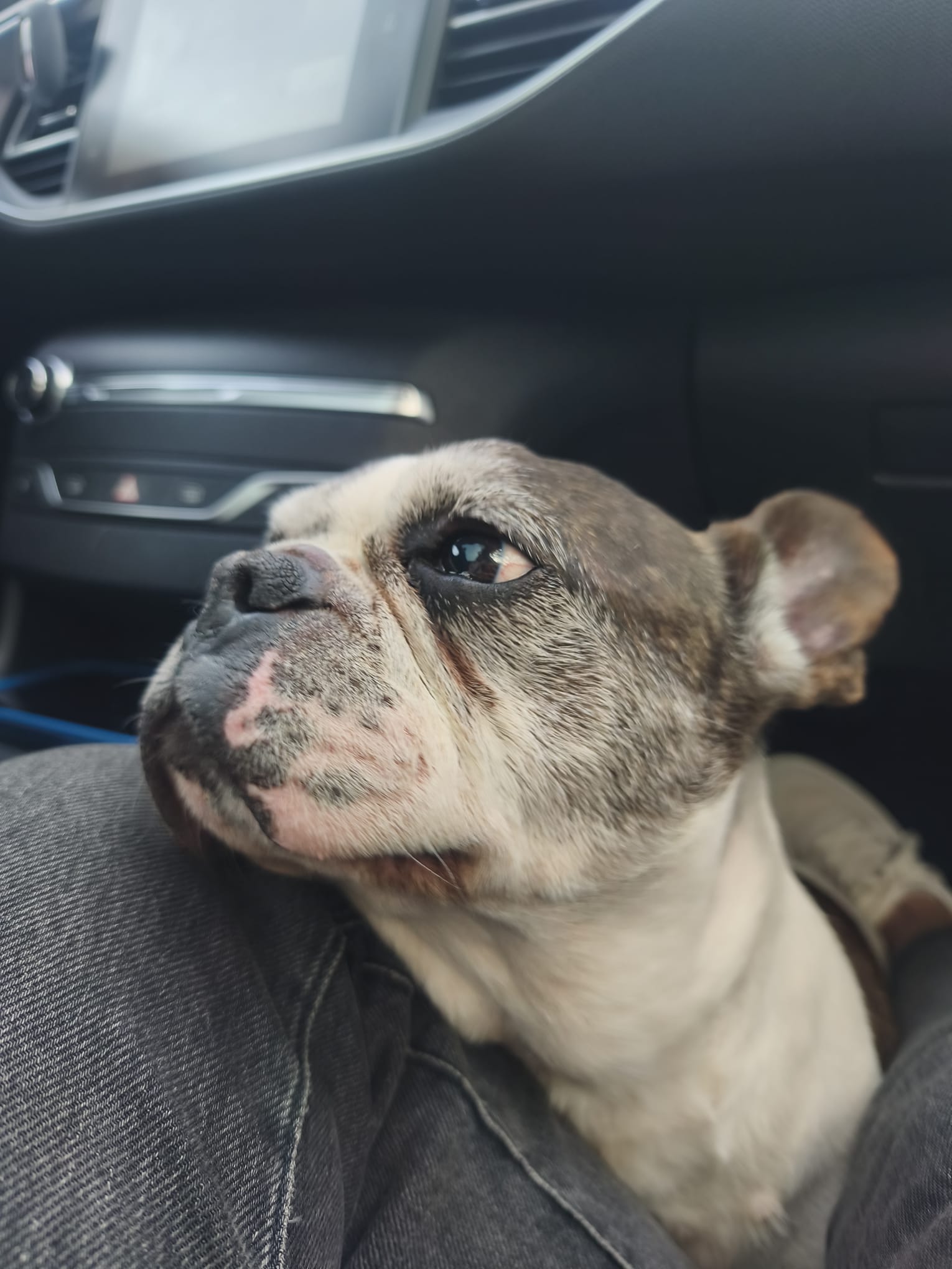Vinnie