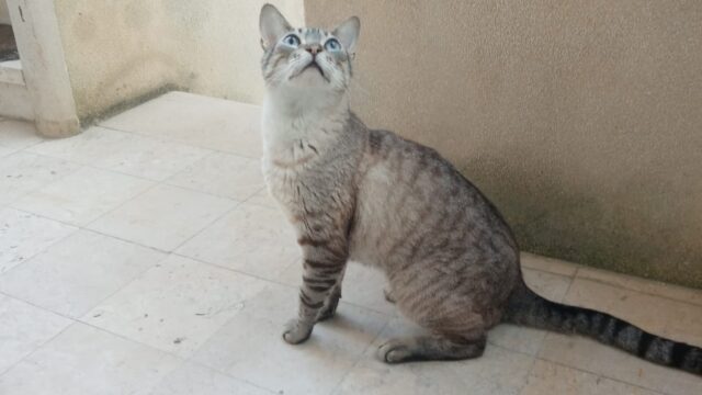 Artur