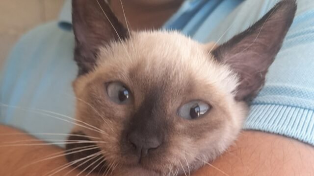 Nilo